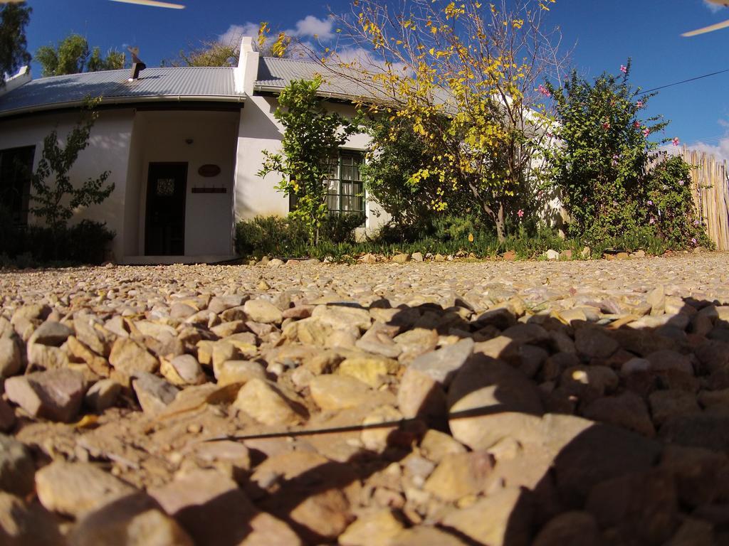 The Olive Thrush Cottage Prince Albert Luaran gambar